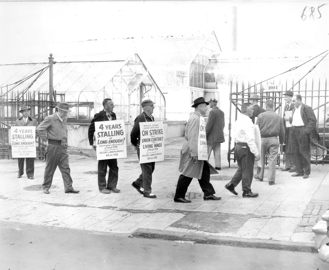 NYC Parks Strike